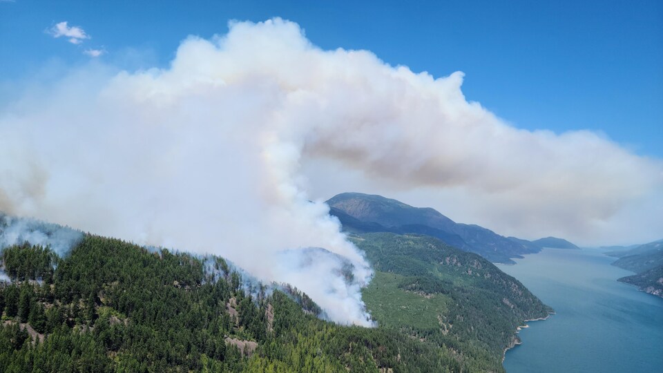 A plume of smoke comes out of the forest near a lake. 