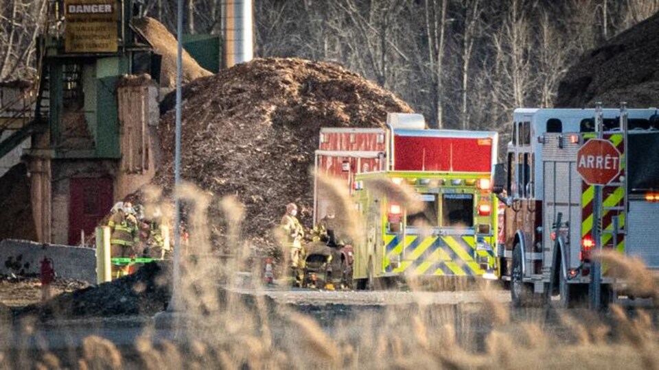 Un camion de pompier et une ambulance sont visibles à travers des herbes hautes.