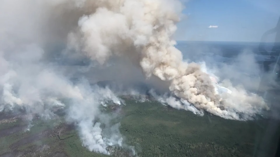 De la fumée se dégage d'une forêt.