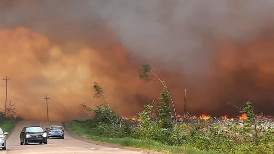 Des voitures près d'un feu de forêt.