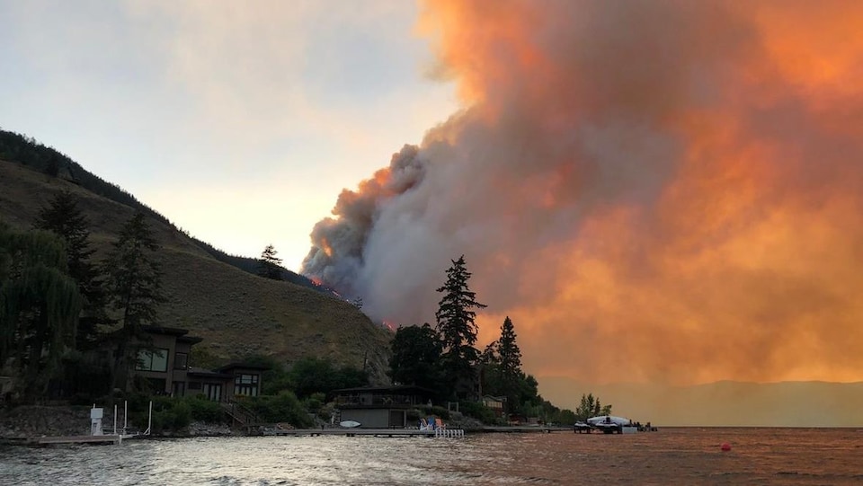 Des flammes brûlent derrière une colline.