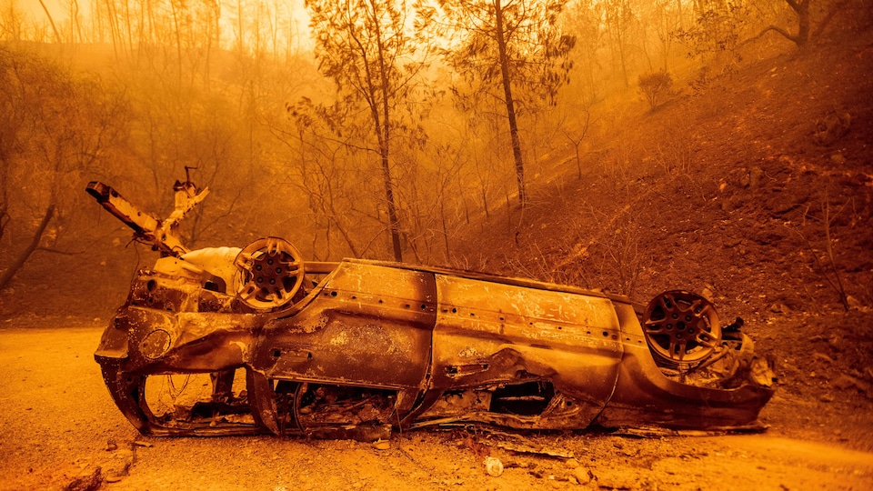 Une voiture calcinée et retournée sur la route, devant des arbres brûlés. 