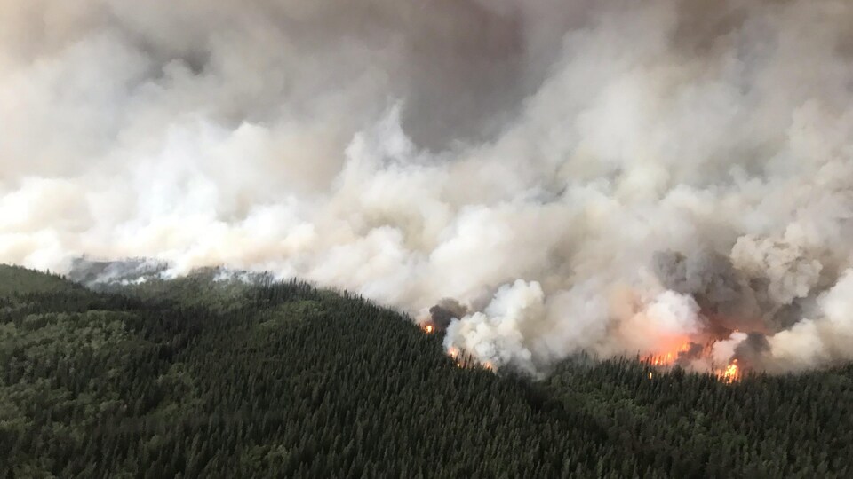 Vue aérienne d'une forêt en feu sous un panache de fumée.