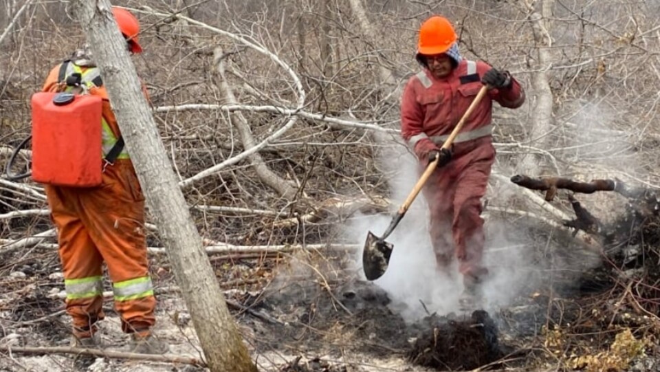 Deux hommes nettoient une zone incendiée par un feu de forêt.