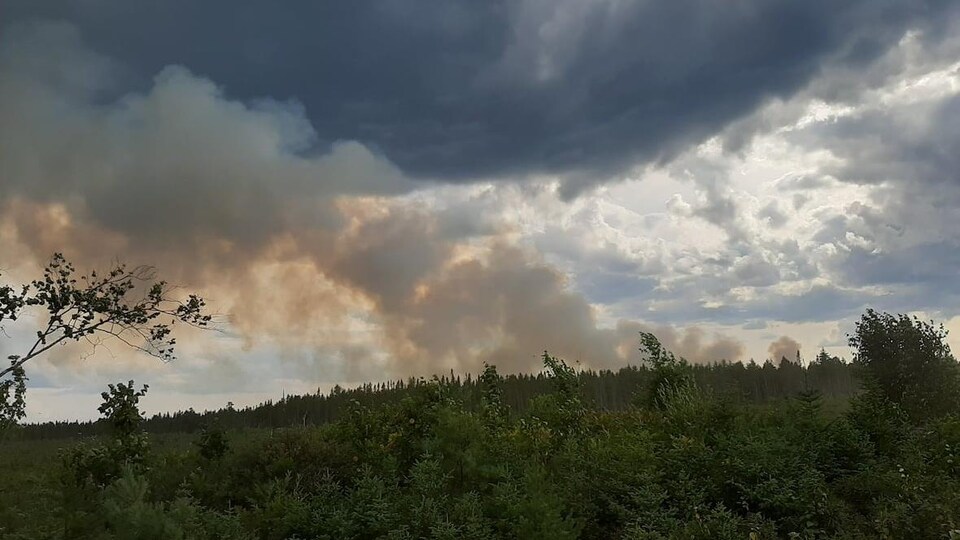 De la fumée émane d'une forêt.