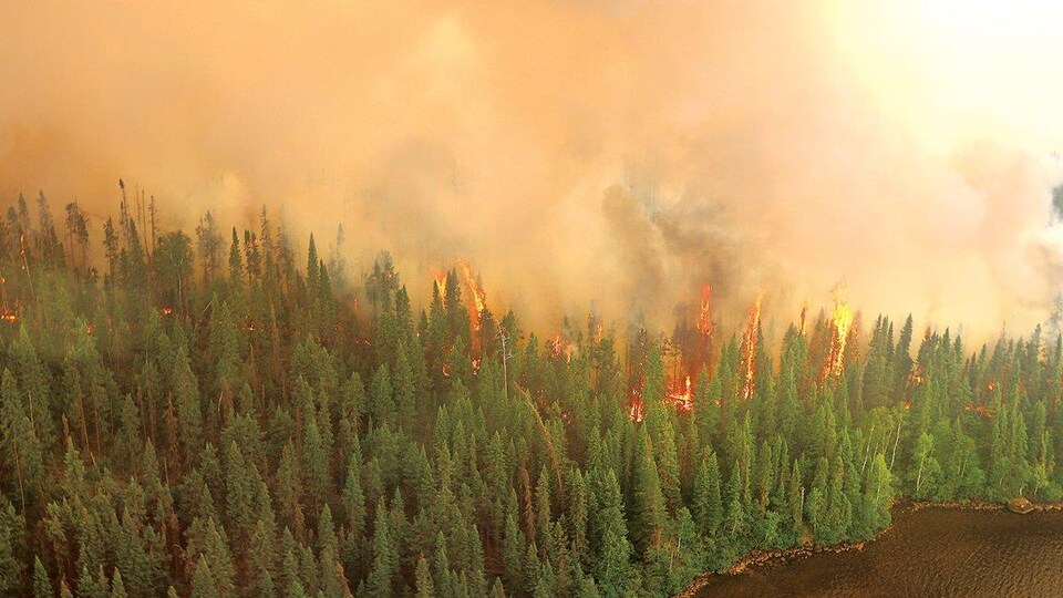 103 Feux De Foret Actifs Dans Le Nord Ouest De L Ontario Radio Canada Ca