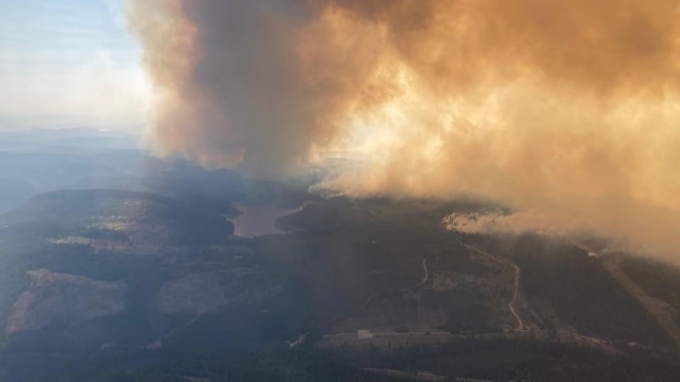 Un nuage de fumée provenant d'une forêt.
