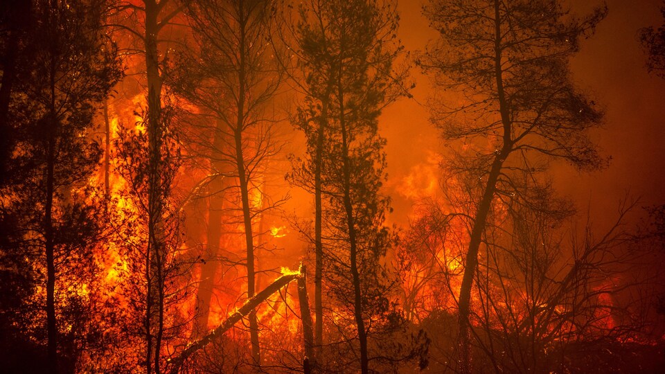 Feu de foret en Grèce.