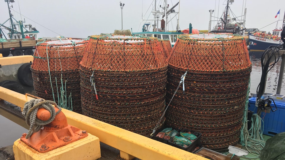 De multiples casiers circulaires de pêche au crabe disposés sur un bateau
