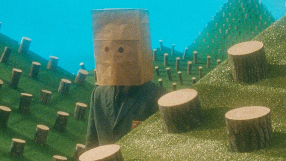 Un homme avec un sac de papier sur la tête marche dans une forêt d'arbres coupés.