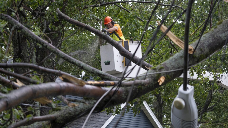 Un arboriculteur à bord d’un engin si une branche d’arbre pour dégager les dégâts fait par le passage d’une tempête.