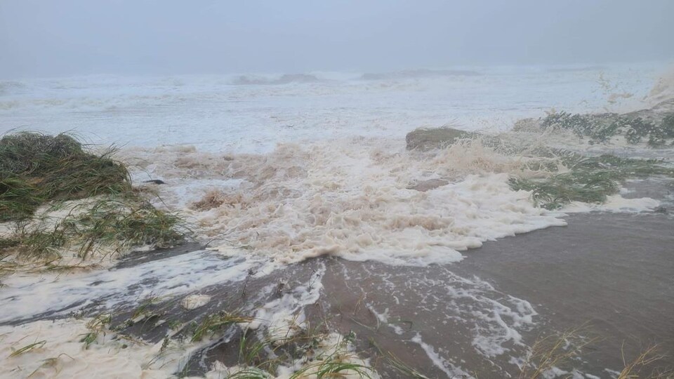 Vagues et plage.