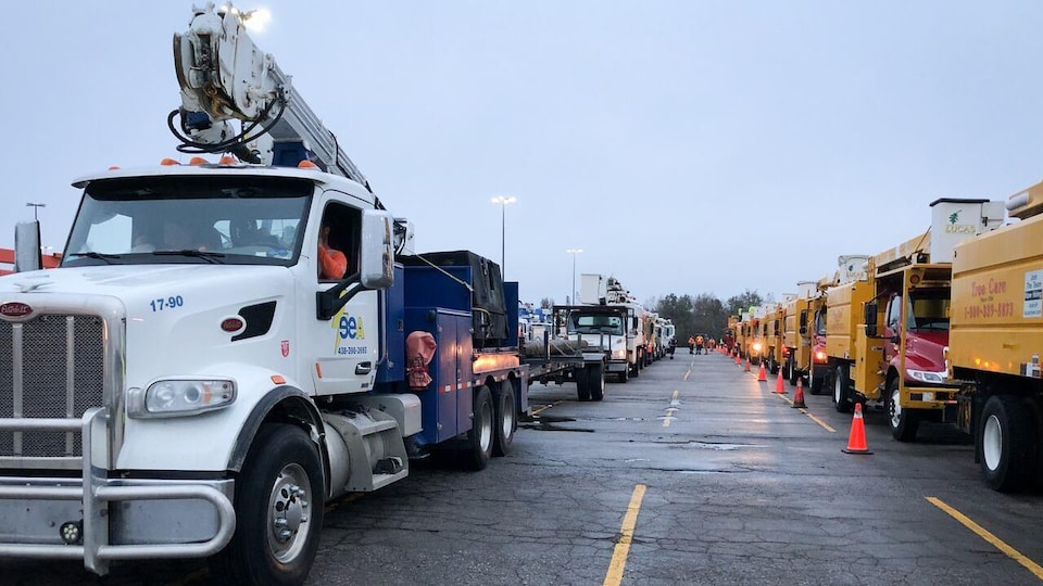 Des camions utilitaires font la ligne dans un stationnement.