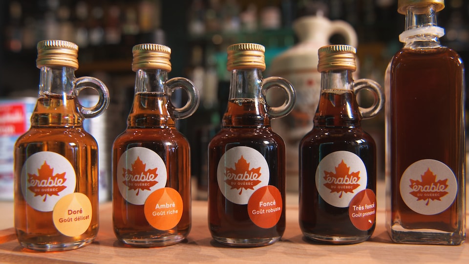 Distribution De Les Goûts Et Les Couleurs Le sirop d'érable a 100 nuances de goût | Radio-Canada.ca