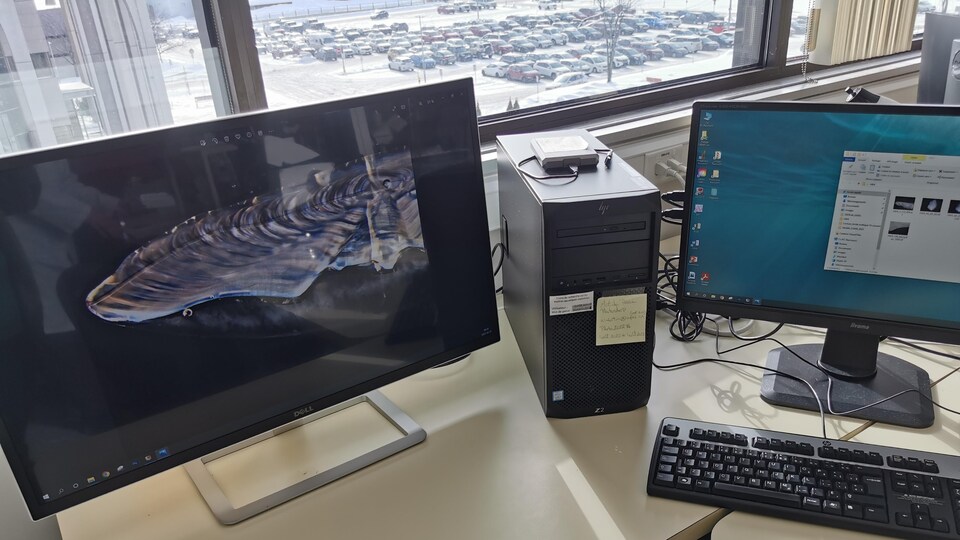 À l'écran d'un ordinateur, une image agrandit de ce qui semble être un otolithe.