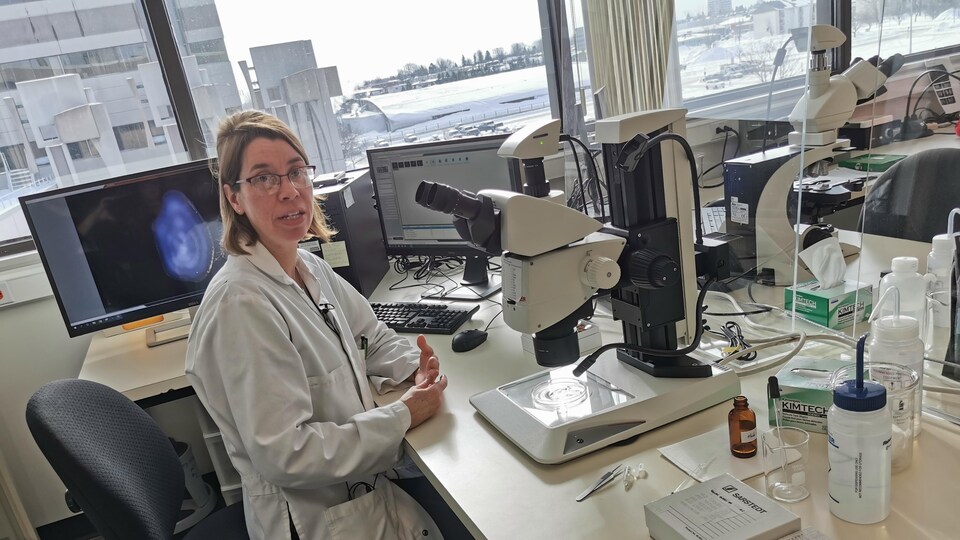 Anne-Lise Fortin assise en face d'un appareil ressemblant à un microscope.