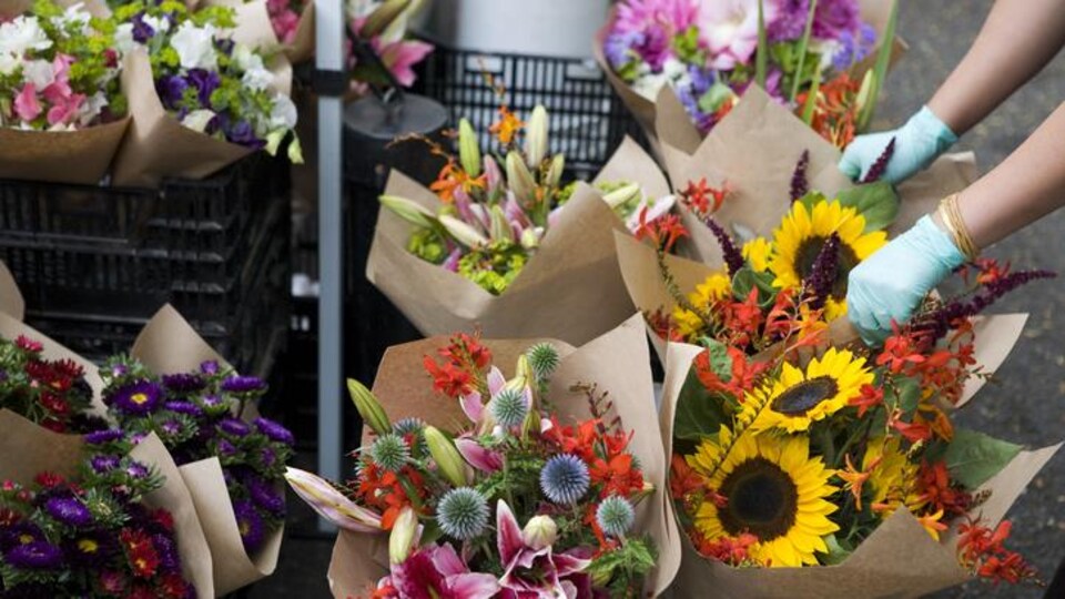 Obliges De Fermer Boutique Les Fleuristes Jettent Des Millions De Fleurs Coronavirus Radio Canada Ca Obliges De Fermer Boutique Les Fleuristes Jettent Des Millions De Fleurs Coronavirus Radio Canada Ca