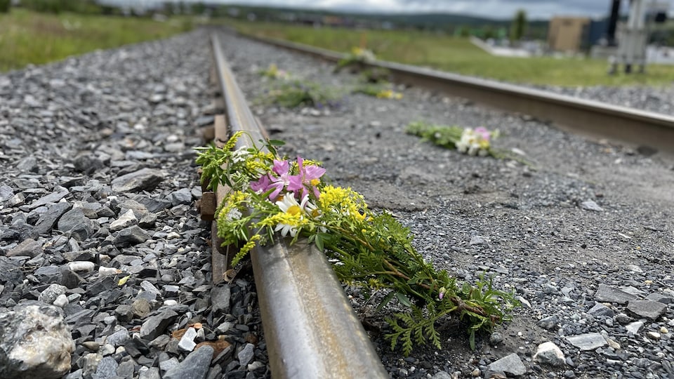 Des fleurs sauvages sur une rail de voie ferrée. 
