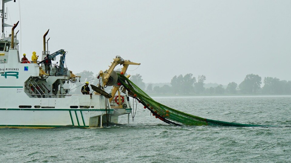 Bilan De Sante Peu Rejouissant Du Fleuve Saint Laurent Radio Canada Ca