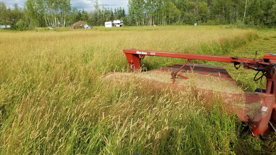Une presse à foin.