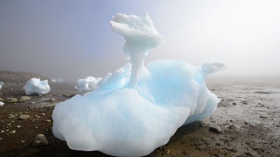 Des morceaux de glace de mer en train de fondre en plein jour.