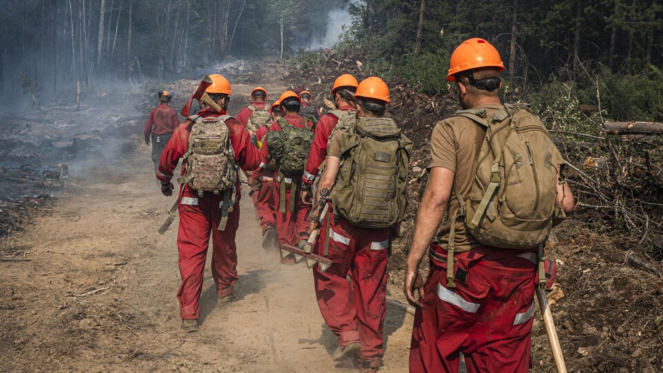 Des militaires déployés pour combattre un feu de forêt.