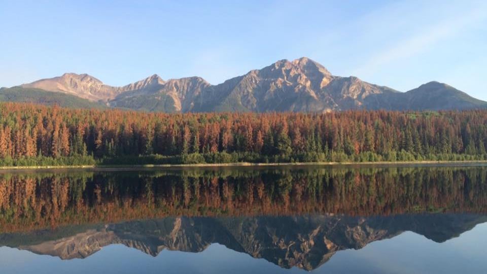 Un paysage sylvestre couleur rouille entre un lac et une montagne.