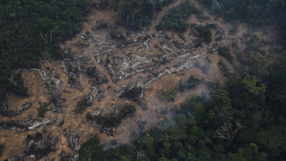 Vue aérienne d'une parcelle déboisée de l'Amazonie.