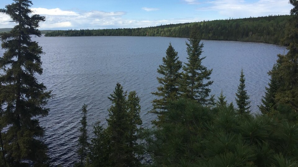 Un lac entouré de conifères.
