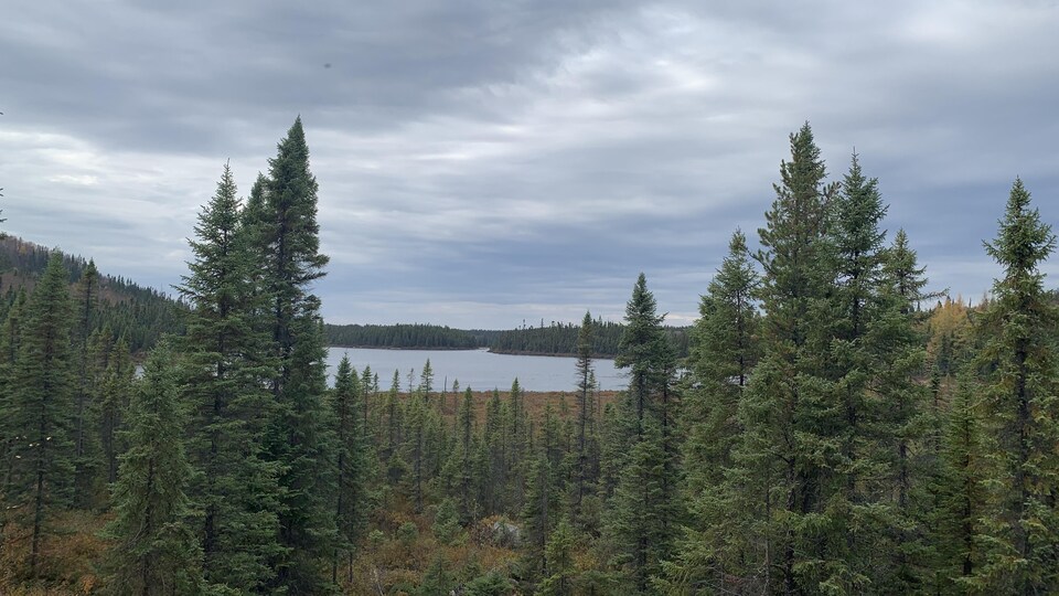 Un lac est entouré de feuillus et de conifères au parc national d'Aiguebelle.