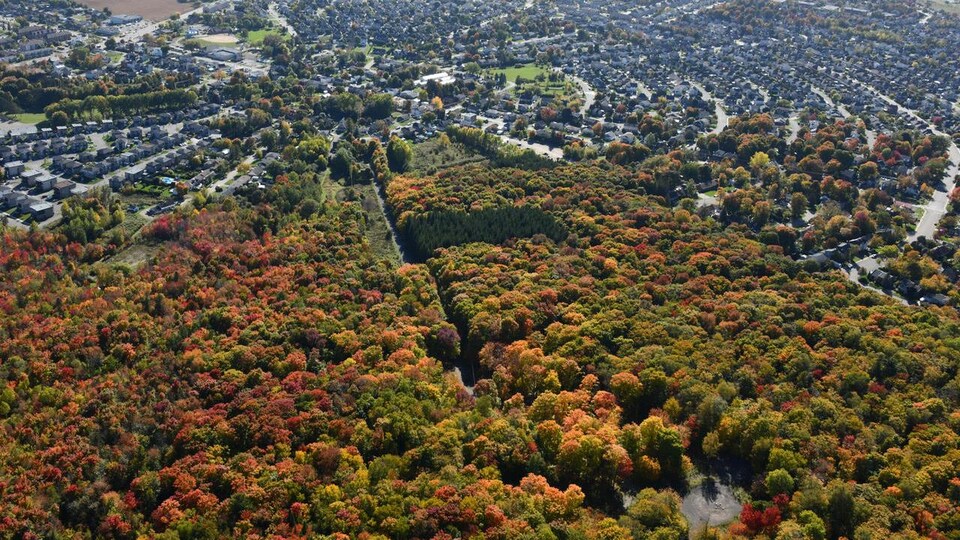 La forêt Château-Bigot, belle à couper le souffle vue des airs, avec ses couleurs d'automne et les rayons successifs des rues environnantes