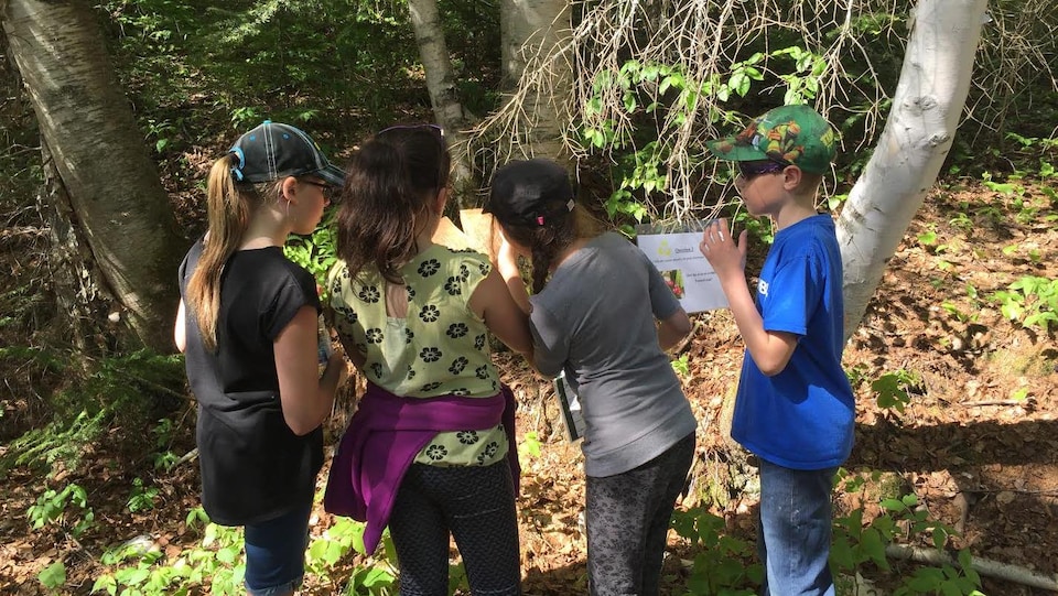 Une journée « forêt » était organisée mercredi pour les élèves de la cinquième année du primaire du Témiscamingue.