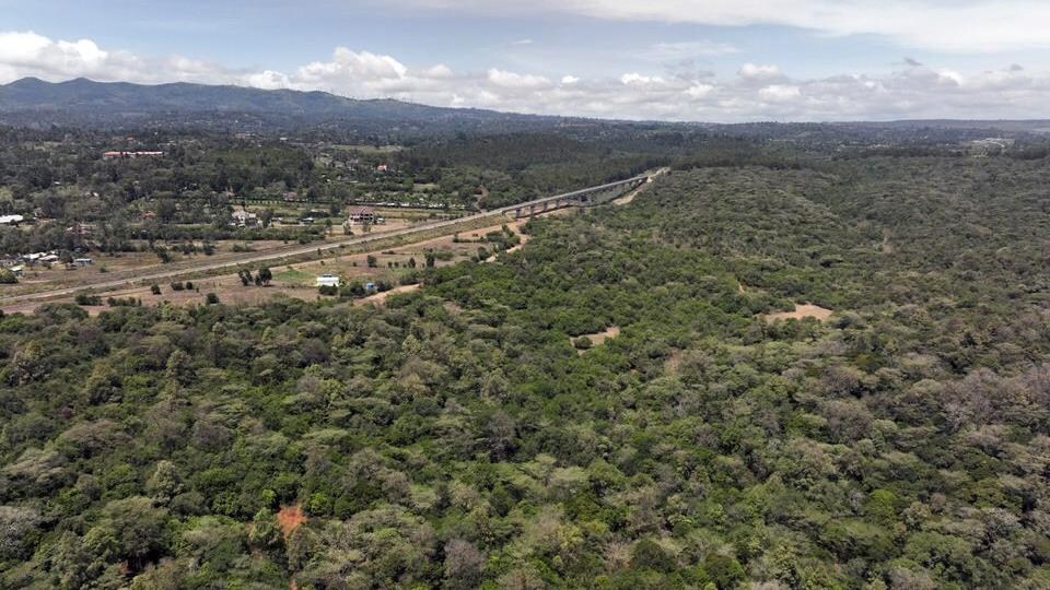 Une photo aérienne prise avec un drone, montre la forêt d’Oloolua près de Nairobi, Kenya.