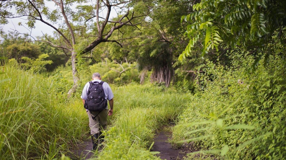 Le scientifique de l'Université de l'Alberta Arturo Sanchez dans le parc national Santa Rosa, au Costa Rica.