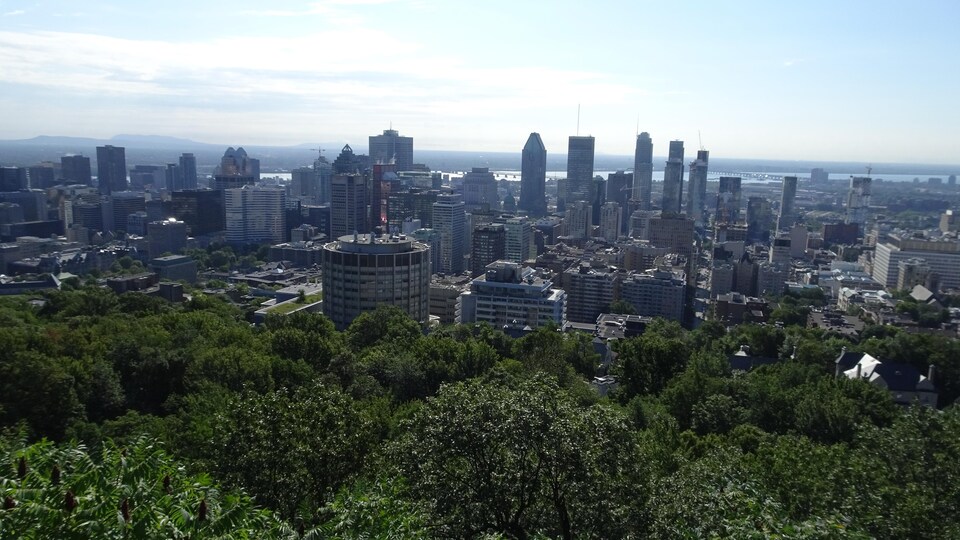 Vue des immeubles du centre-ville de Montréal et des arbres sur le flanc du mont Royal.