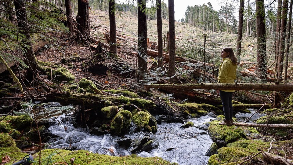 Une jeune femme se tient debout dans une forêt et regarde la nature.