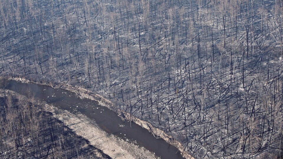 Photo d'archives datant de mai 2016 montrant l'ampleur de la destruction dans la région de Fort McMurray à la suite des feux de forêt.
