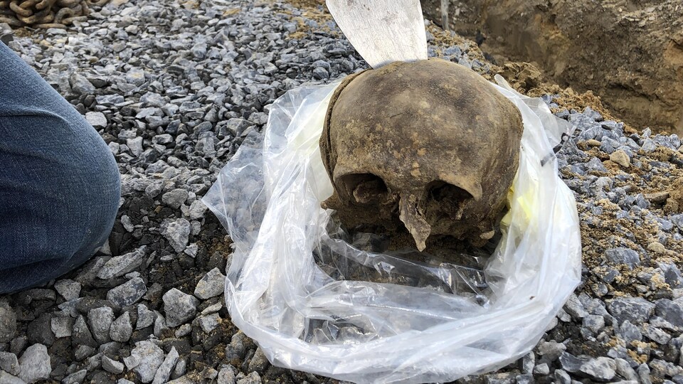 Un crâne qui sera transporté dans un emballage de plastique.
