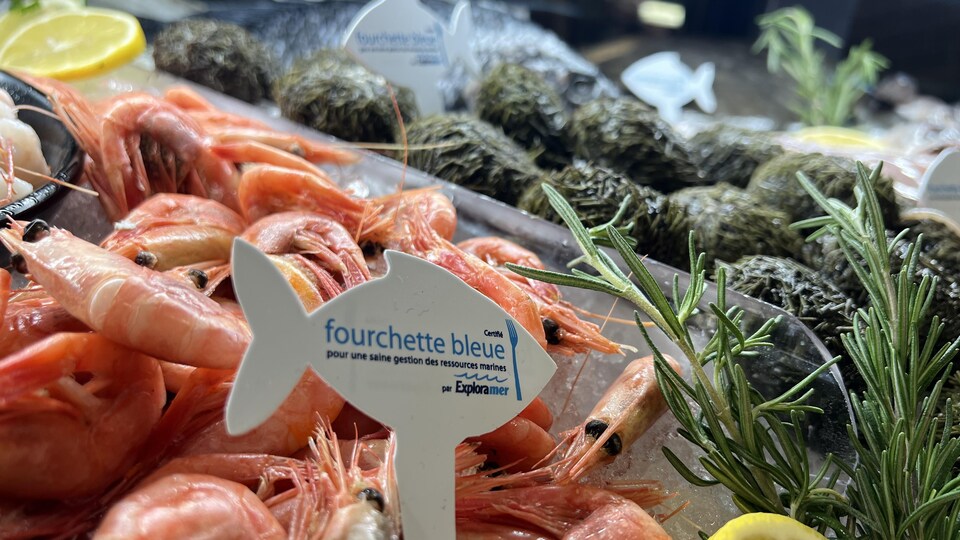 Une affichette « fourchette bleue », en forme de poisson, est installée dans un étalage de crevettes et d'huîtres.