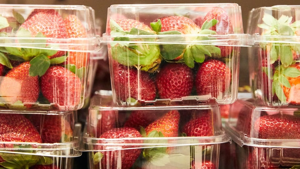 Des fraises dans des emballages de plastique.