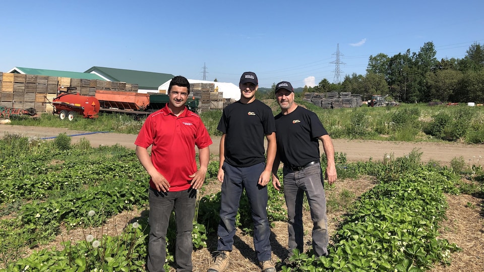 Keven et Alex Durette de la Fraisière Durette à St-Ulric en compagnie de leur père.