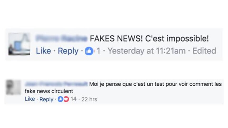 Capture d'écran de commentaires sur un canular sur Facebook. Les gens affirment qu'il s'agit de «fake news».