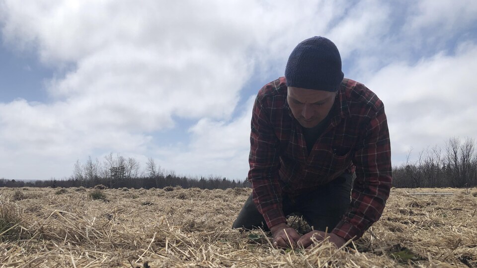 François Lavigne, copropriétaire de la Ferme Michaud, à Baie de Bouctouche
