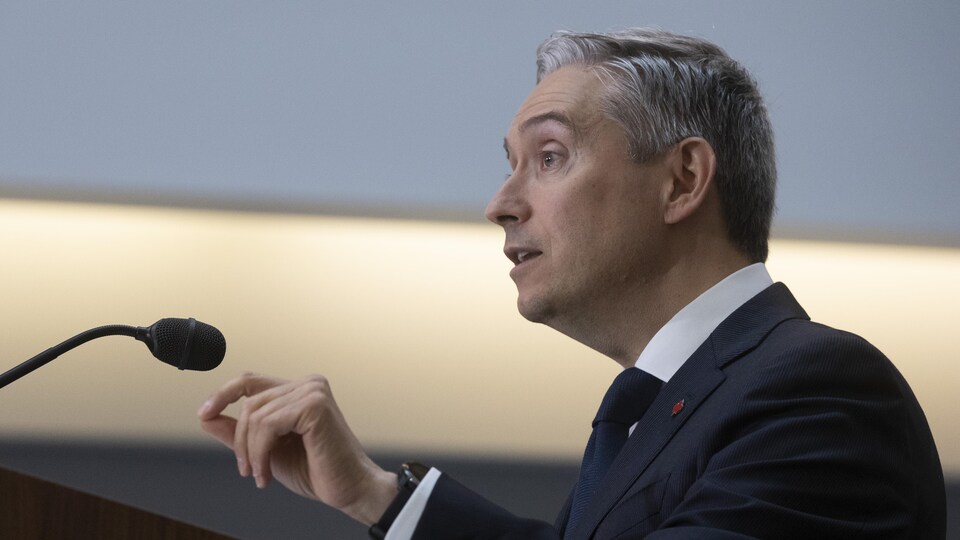François-Philippe Champagne de profil lors d'une conférence de presse.