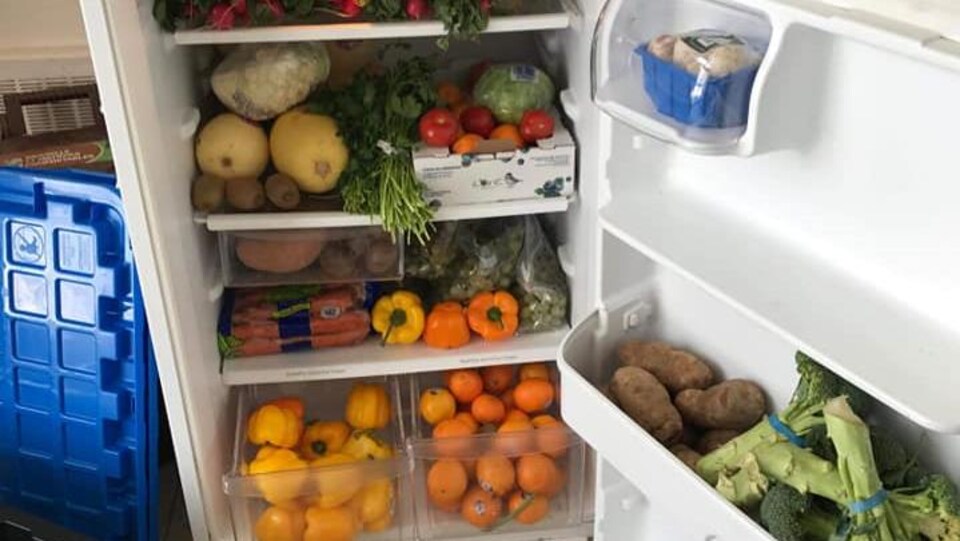 Le frigo communautaire de l'Université de Sherbrooke rempli de fruits et de légumes.