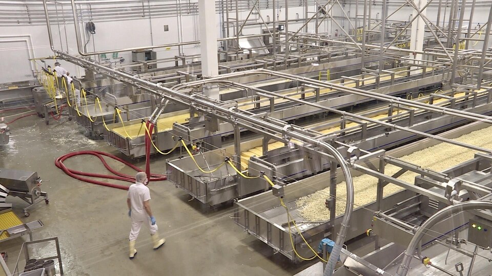 L'usine de la Fromagerie St-Albert.