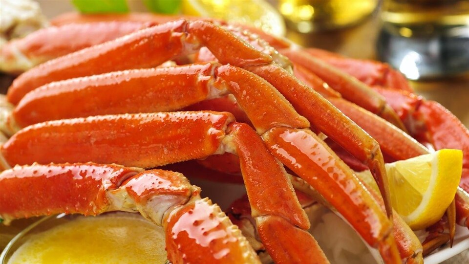 Crabe des neiges