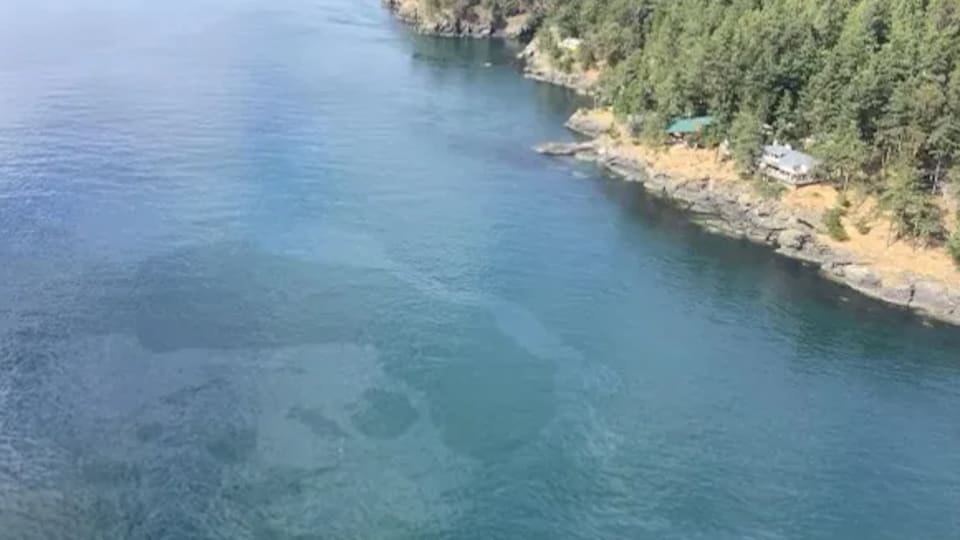 Une irisation d’hydrocarbure à la surface de l’eau près de l’île San Juan dans l’État de Washington.