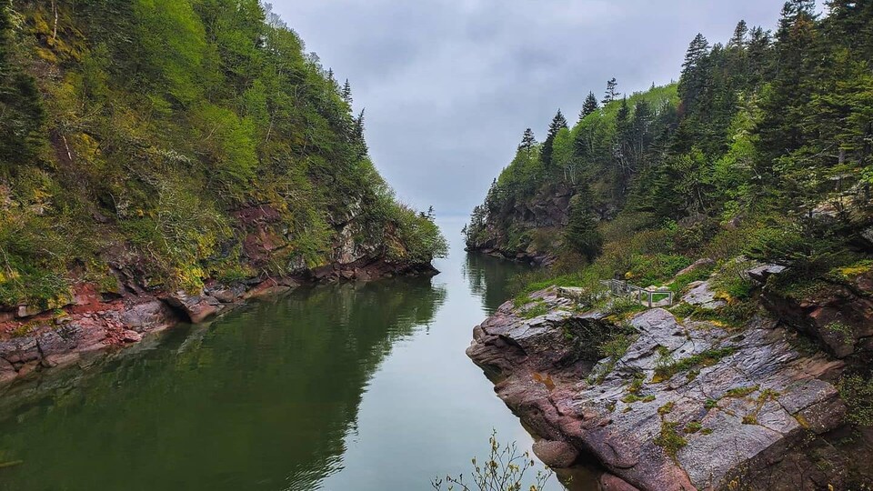 La mer entourée d'arbres et de rochers.