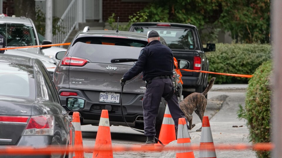Un policier de l'escouade canine et son chien recherchent des indices sur le trottoir, près d'un véhicule.